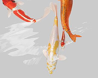 《我的世界》不会转为免费游戏：是游戏的重要价值观